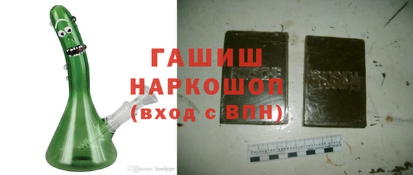 гидра Осинники