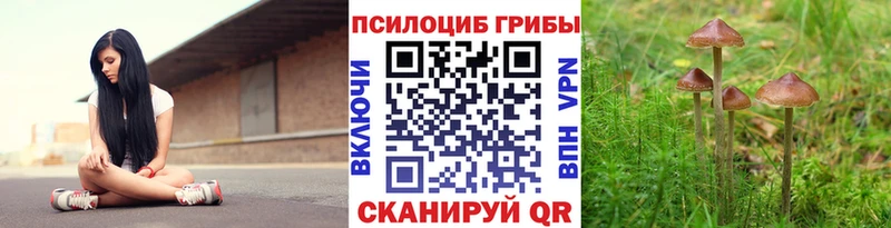 Псилоцибиновые грибы мицелий omg tor Кувандык купить закладку