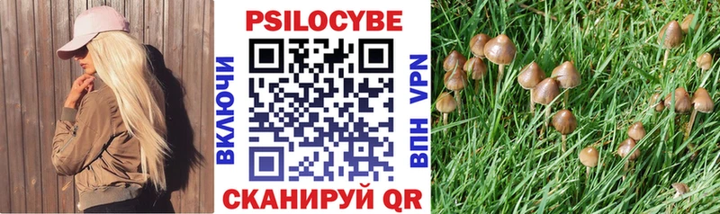 Галлюциногенные грибы Psilocybe Кувандык